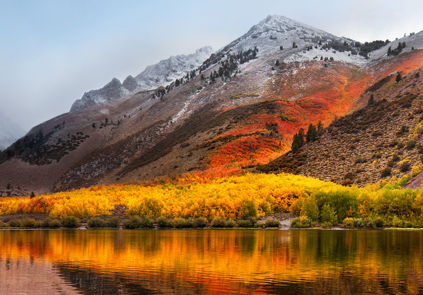 macOS High Sierra wallpaper