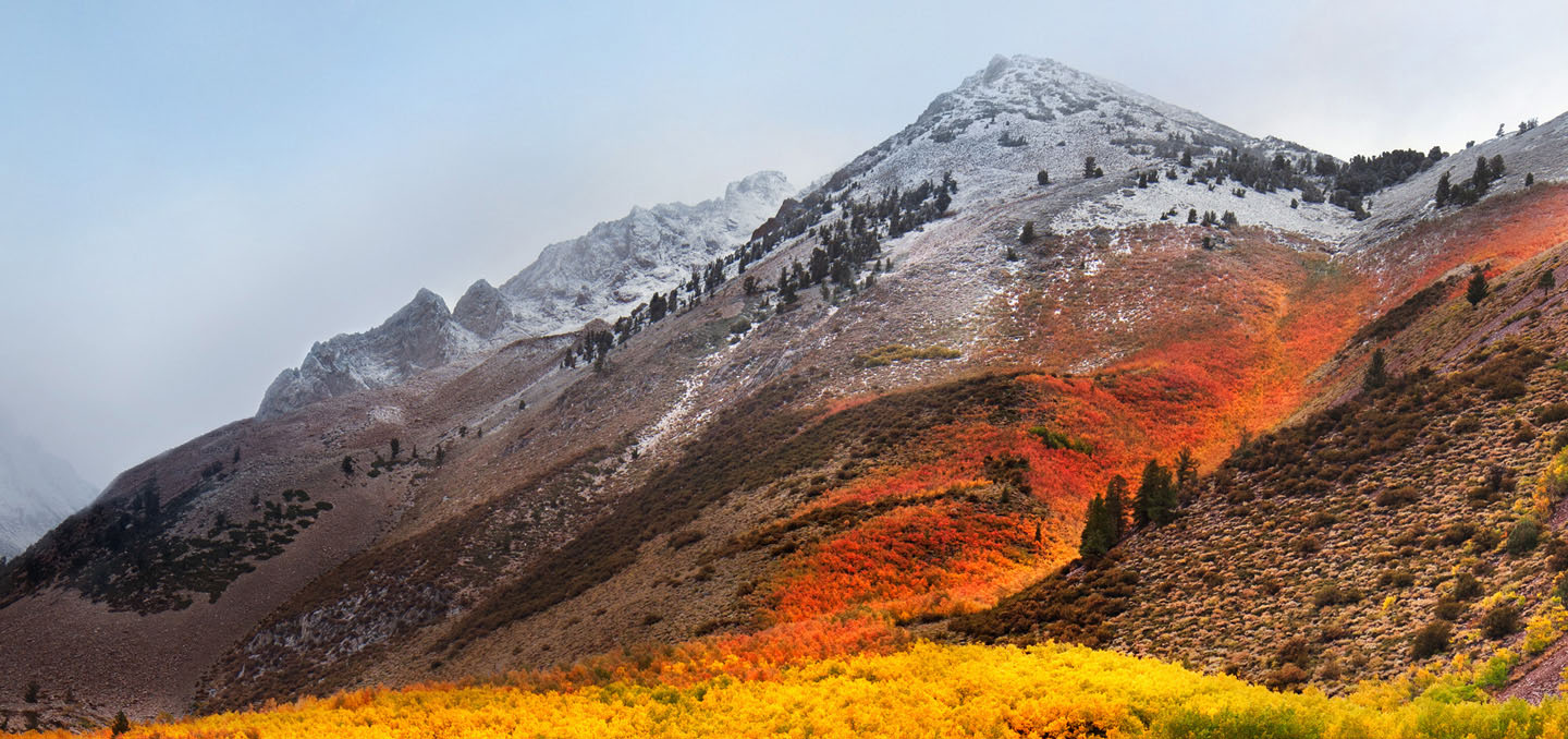 Download The New Macos High Sierra Stock Wallpaper Best Tech Guru